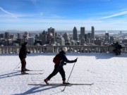 Belvédère du Mont-Royal