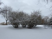 Parc