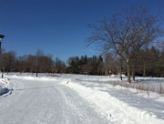 Parc Jarry