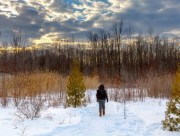 Parc-nature du Bois-de-l'Île-Bizard