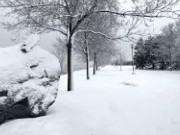 Parc René-Lévesque
