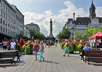 place Jacques-Cartier 2014 Denis Tremblay web et photo