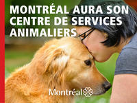 Centre de services animaliers municipal